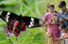 Free Awareness Program at Sammilan Shettys Butterfly Park